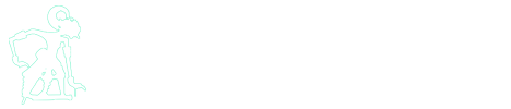 Nusantara Review